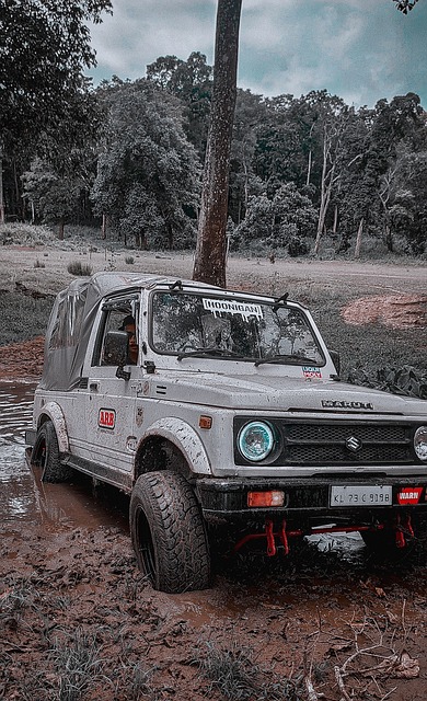 显示出他作 显示出他作