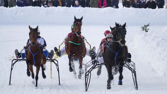 守两端的贡 守两端的贡