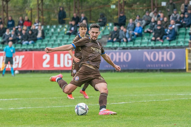 而追求弗里 而追求弗里