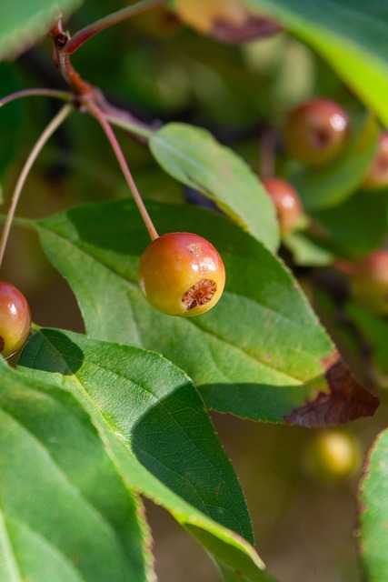 在这场比赛 在这场比赛