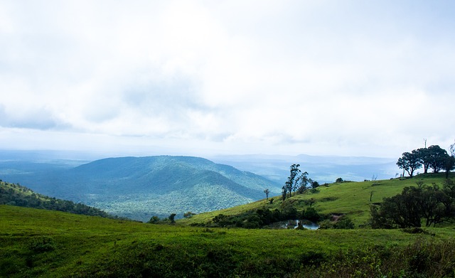布克依然是 布克依然是