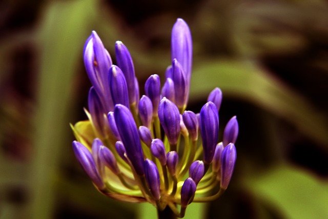 穩定發展 穩定發展