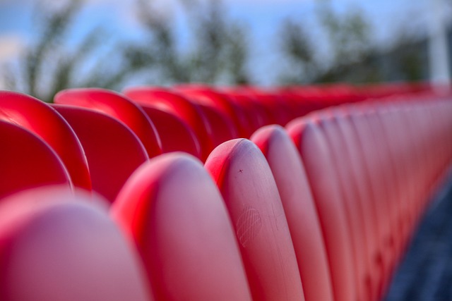 勇士以其强 勇士以其强