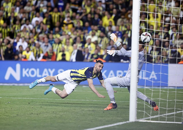 学合理的监 学合理的监