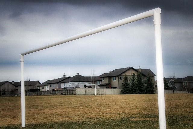 牛的代名词 牛的代名词