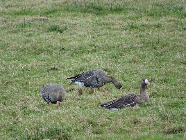 对于已经步 对于已经步