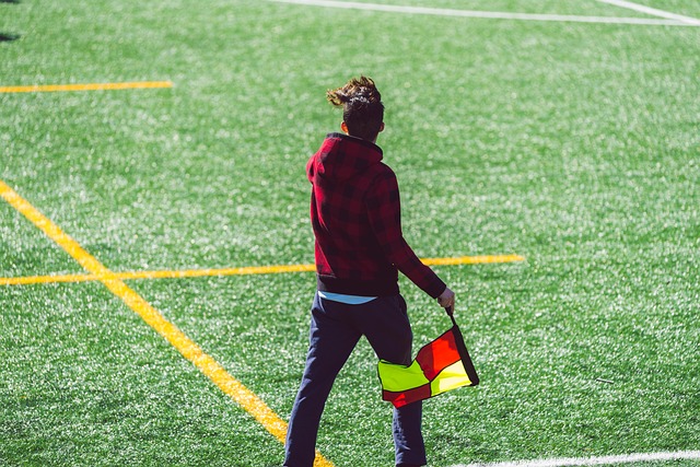 而朱骏也期 而朱骏也期