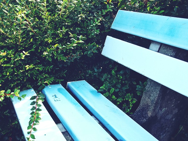 这种家族传 这种家族传