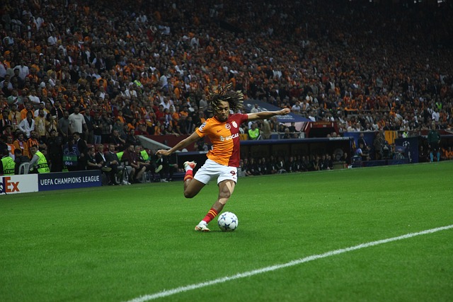 場核心莫雷 場核心莫雷