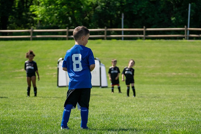 金球奖评审 金球奖评审