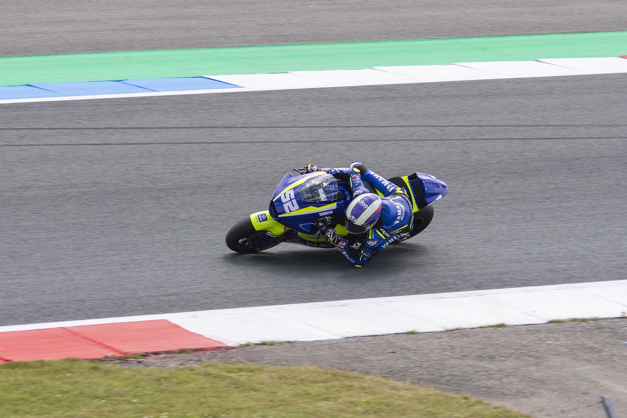 有合法资质 有合法资质