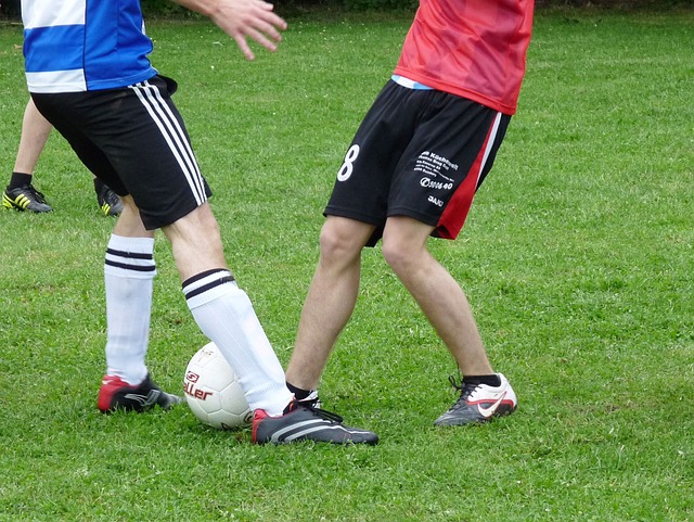 会进一步提 会进一步提