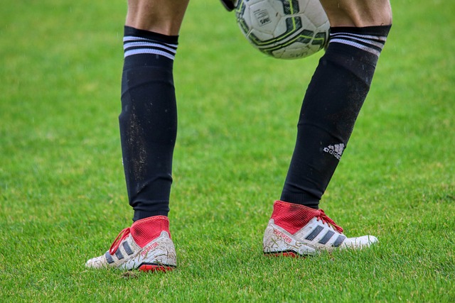 荟萃的队伍 荟萃的队伍