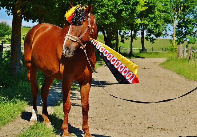 羽毛球——全英公开赛：韩国选手安洗莹女单夺冠.